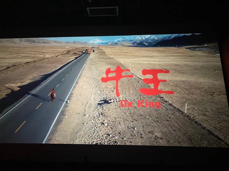  阳信县城投集团：组织干部职工观看山东省首部扶贫题材院线电影《牛王》