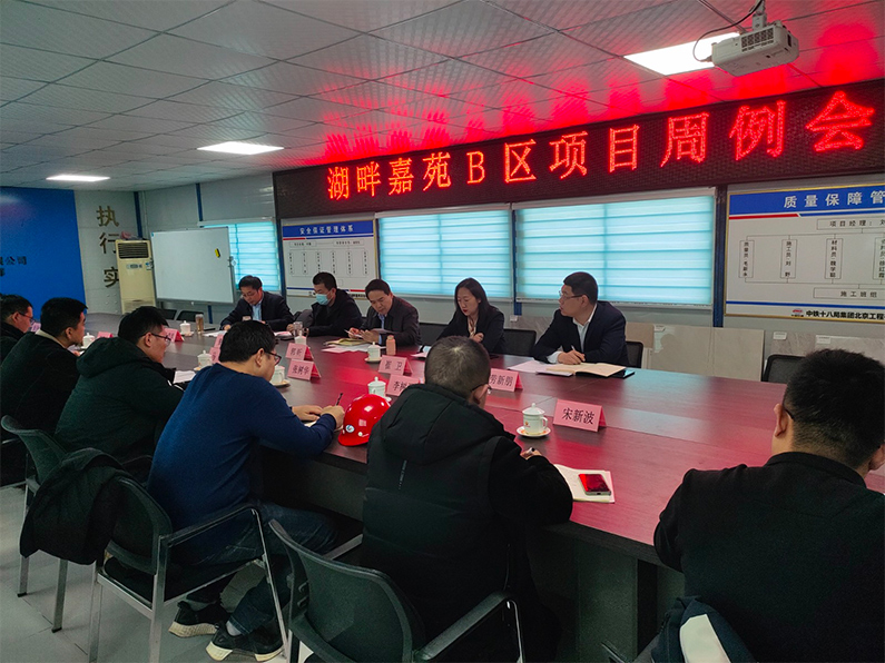 县委副书记郭昕到湖畔嘉苑b区项目进行调研