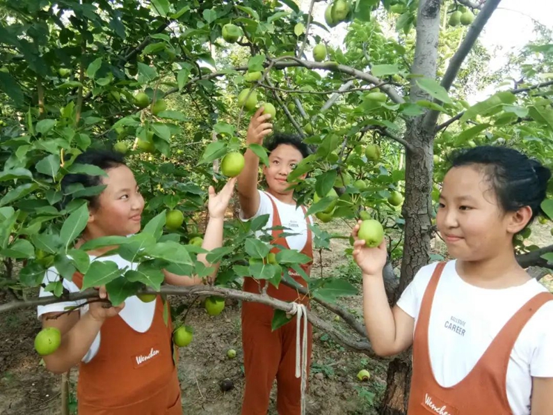 阳信：被确定为全国加强乡村地名管理试点县