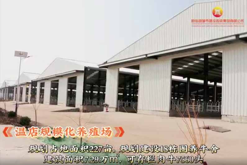 温店规模化养殖场